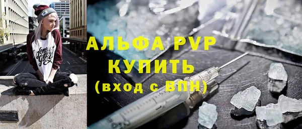 гидра Бородино