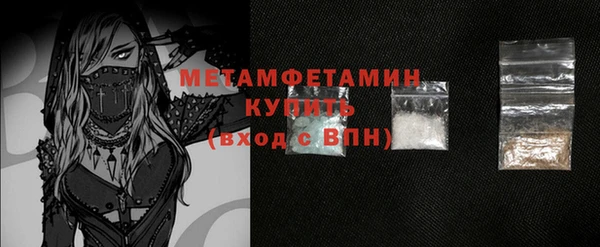 гидра Бородино