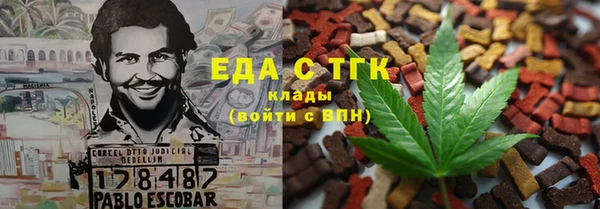 гидра Бородино