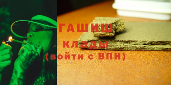 гидра Бородино