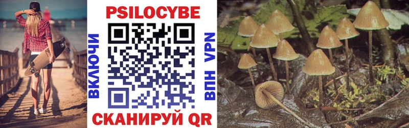 Псилоцибиновые грибы Psilocybe  Лобня 